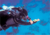 Croatia Diving: PADI navigation specialty